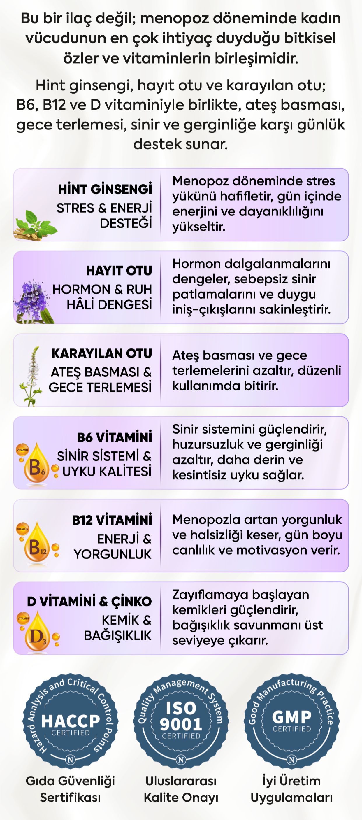 Promotional Imasge 1